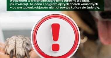 ZWIERZ-szczepienia-plakat-A3-www (1).jpg